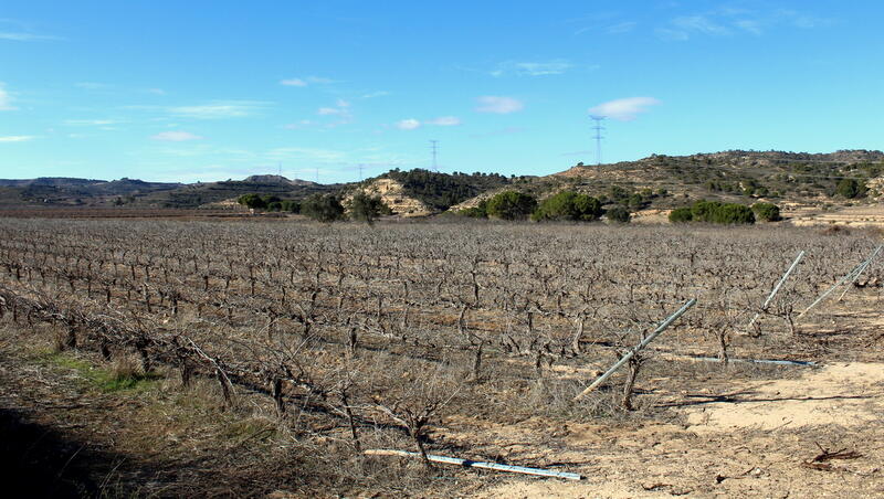 Terrenos en venta