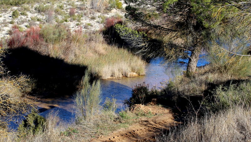 Terrenos en venta