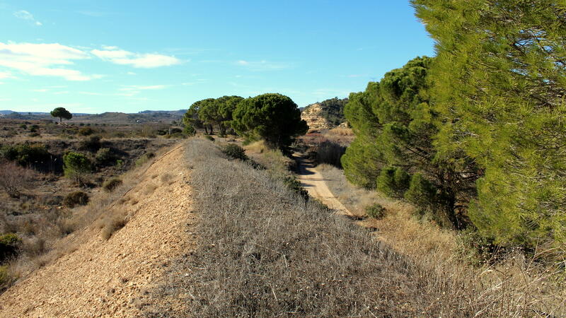 Terrenos en venta