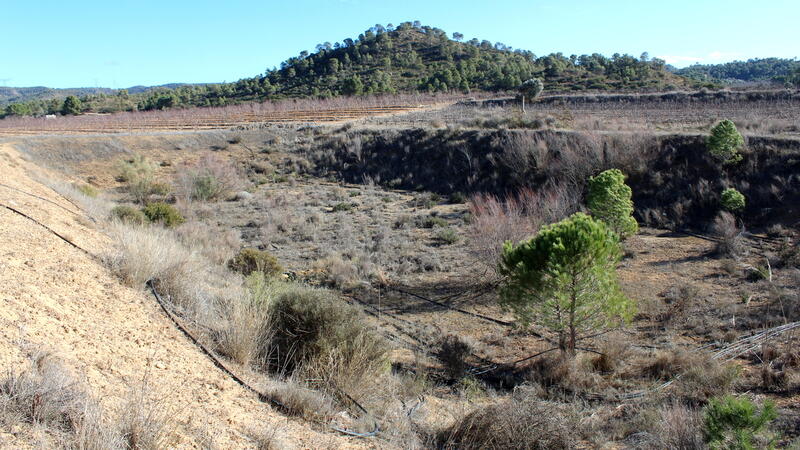 Terrenos en venta