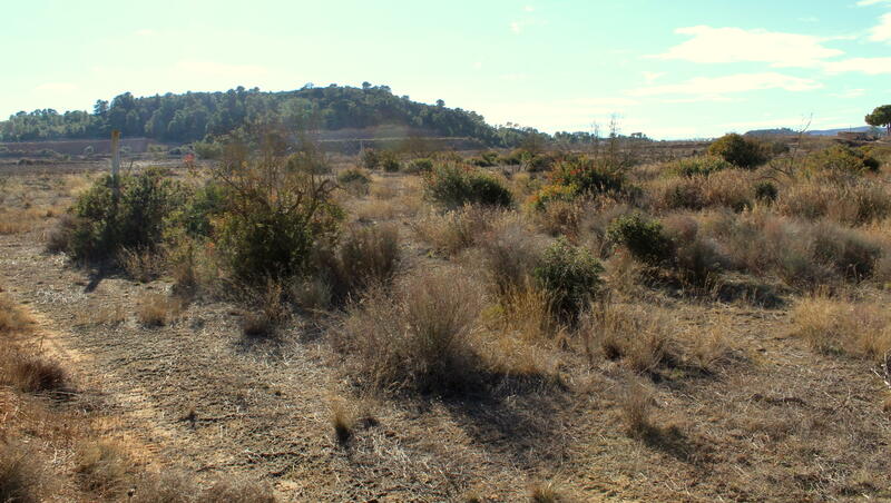 Terrain à vendre