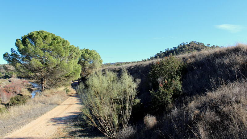 Terrenos en venta