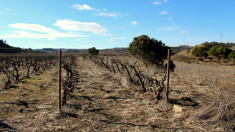 Terrain à vendre