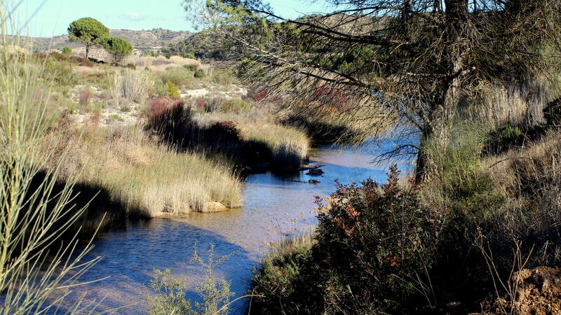 Terrenos en venta