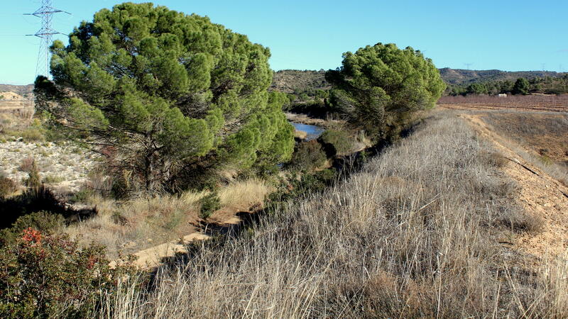 Terrain à vendre