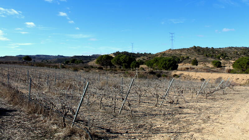 Terrenos en venta