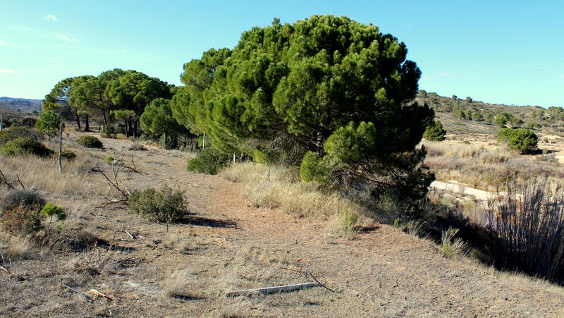 Terrenos en venta