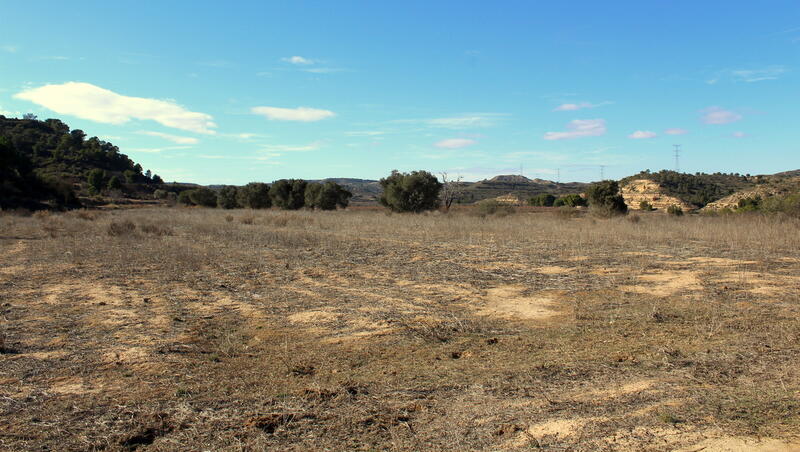 Terrenos en venta