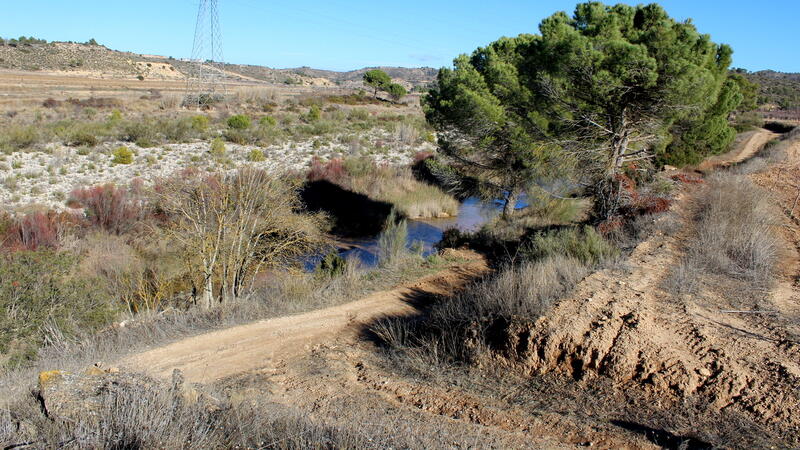 Terrenos en venta