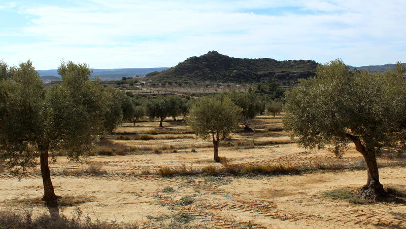 Terrenos en venta