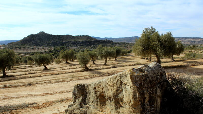 Terrain à vendre