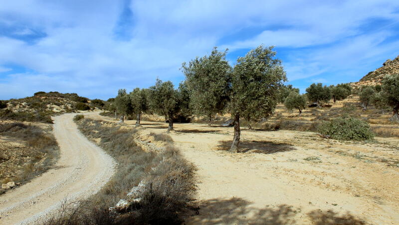 Terrain à vendre