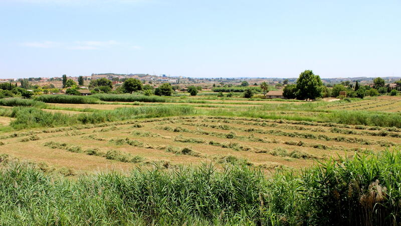 Landhuis Te koop