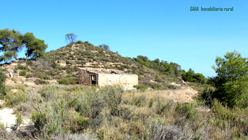 Landhaus zu verkaufen in Batea, Tarragona