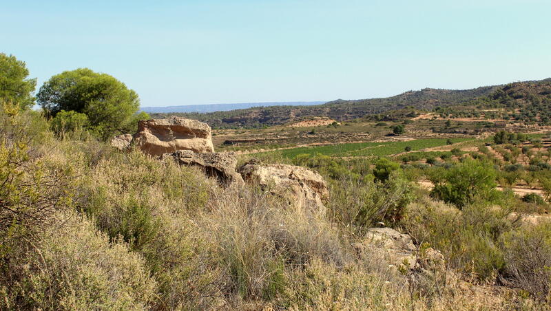 Casa de Campo en venta