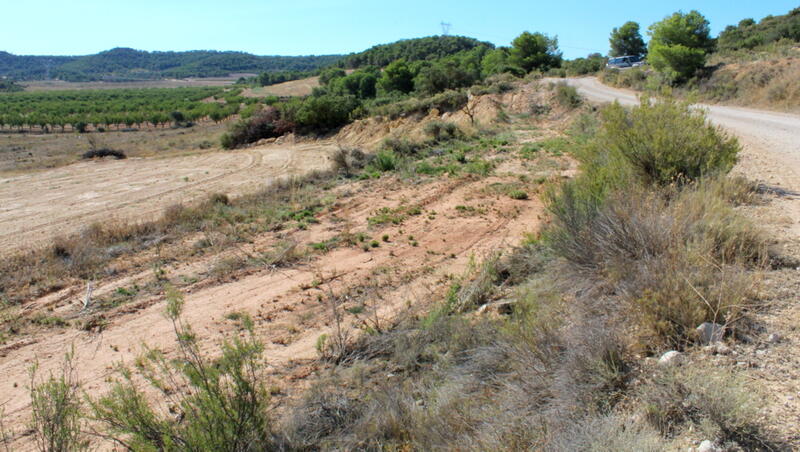 Casa de Campo en venta