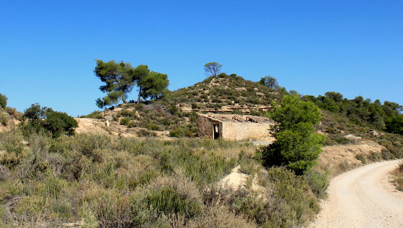 Casa de Campo en venta