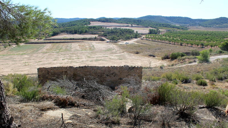 Casa de Campo en venta