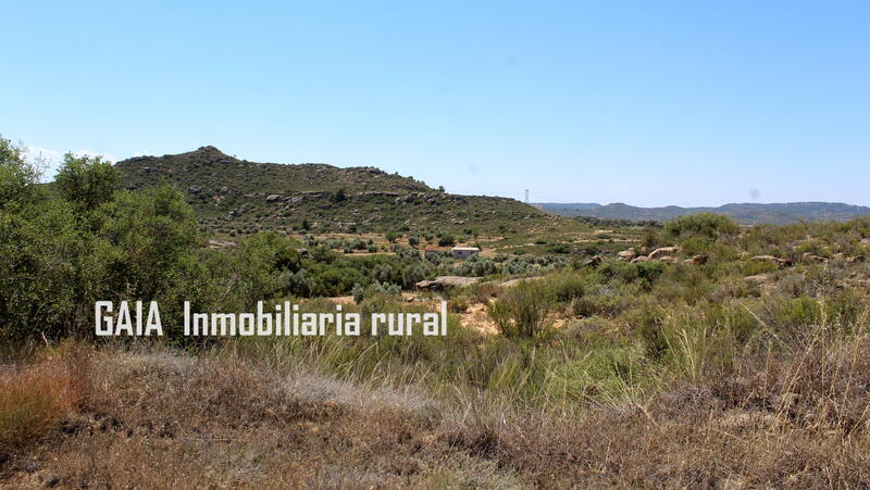 Casa de Campo en venta