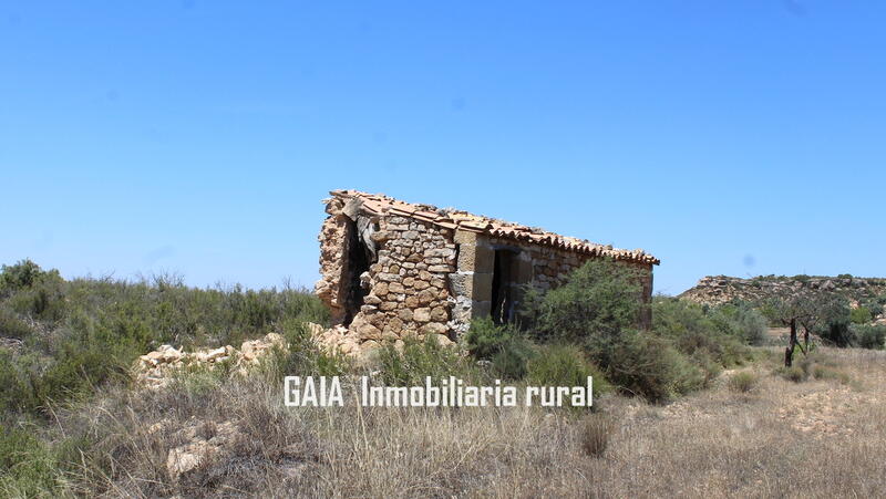 Casa de Campo en venta