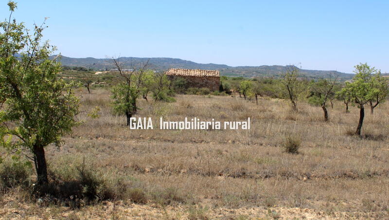 Auberge à vendre