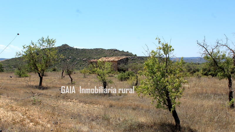 Casa de Campo en venta