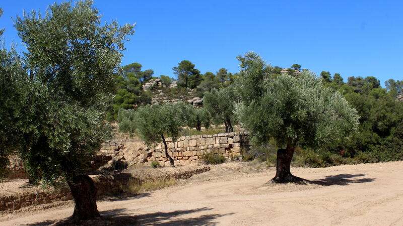 Auberge à vendre