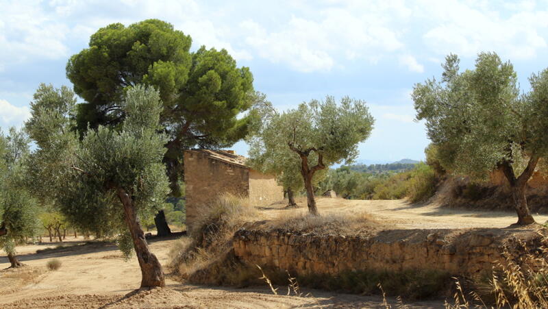 Auberge à vendre