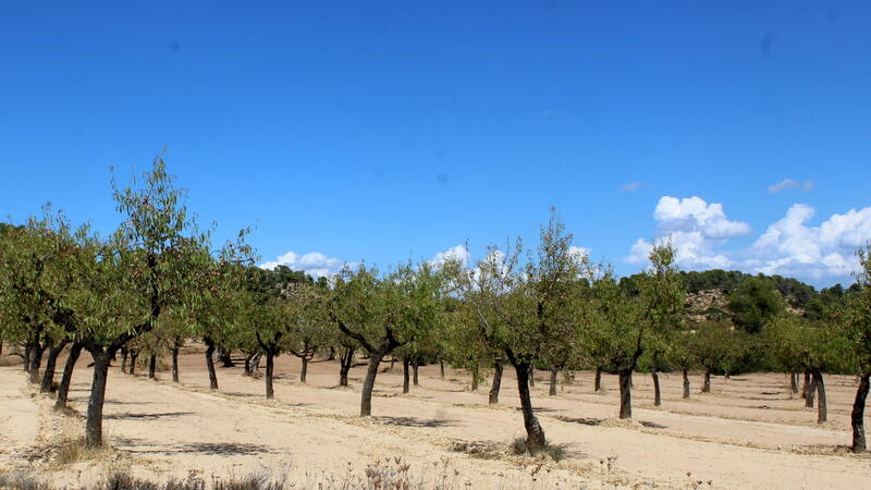 Casa de Campo en venta