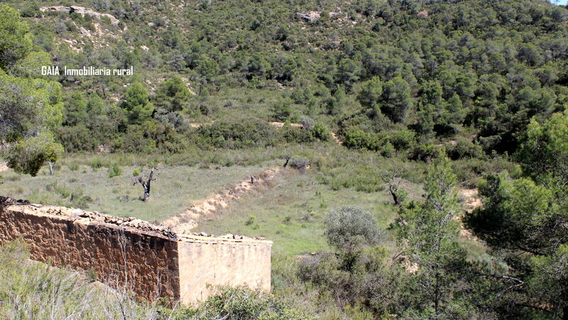 Landhuis Te koop in Batea, Tarragona