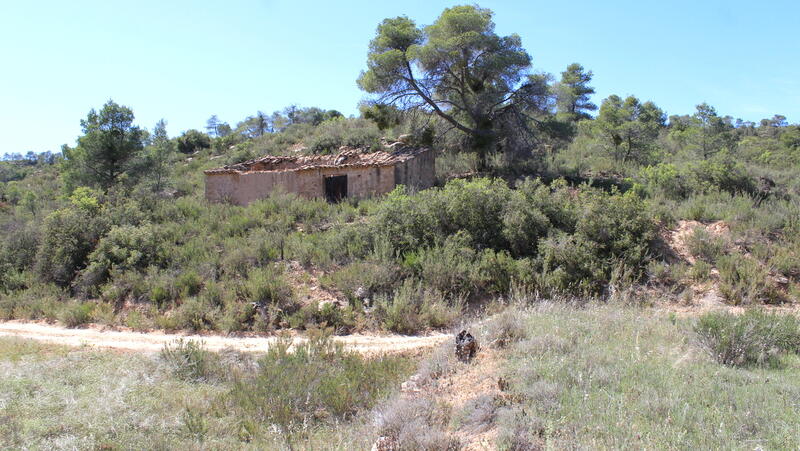 Casa de Campo en venta