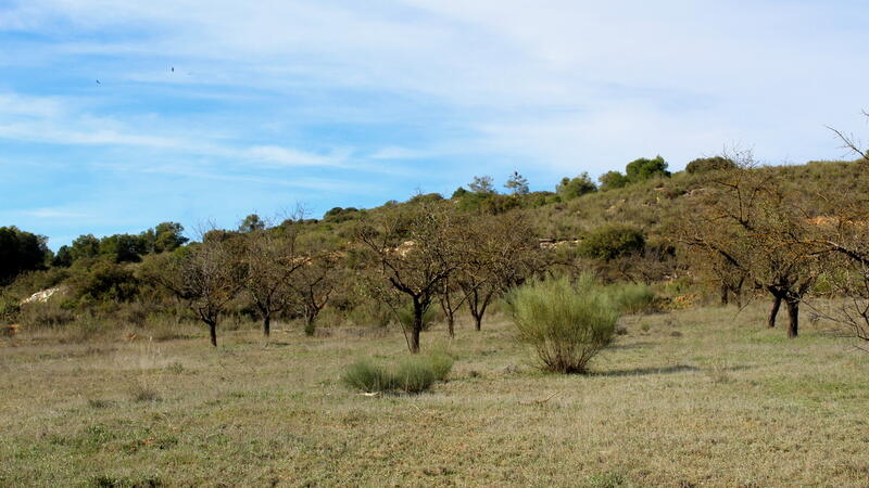 Terrain à vendre