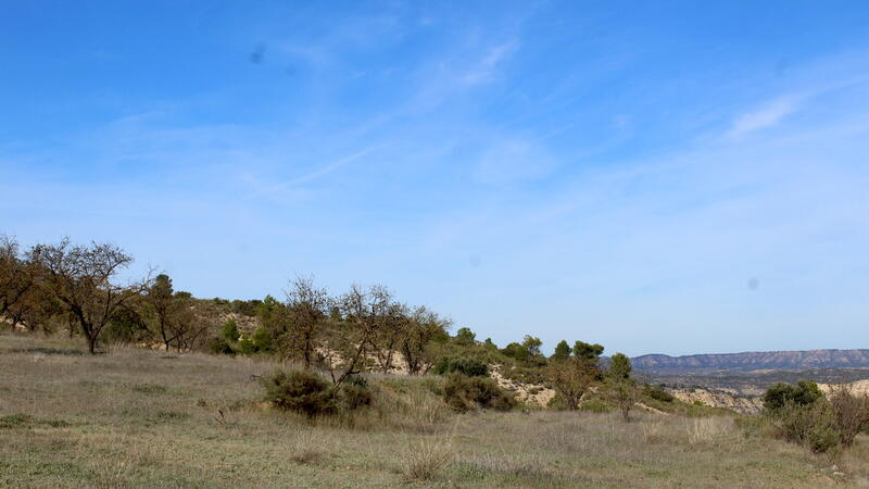 Terrain à vendre