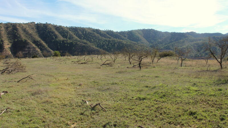 Terrenos en venta