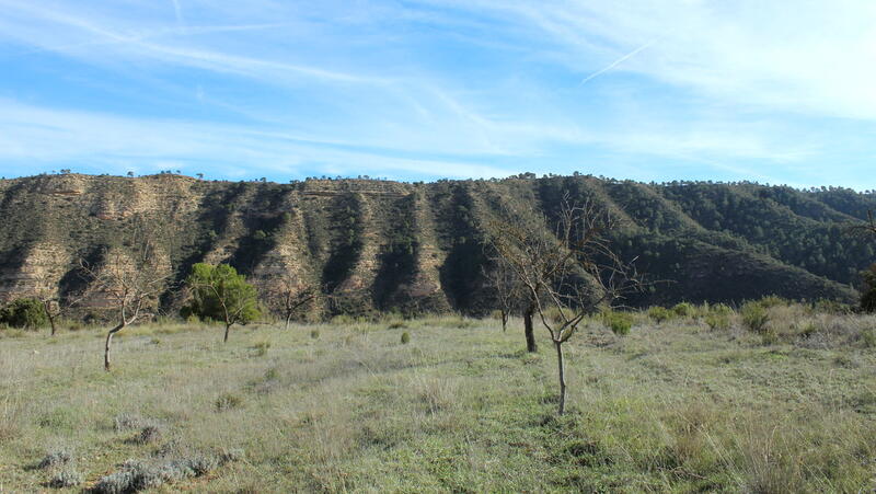 Terrain à vendre