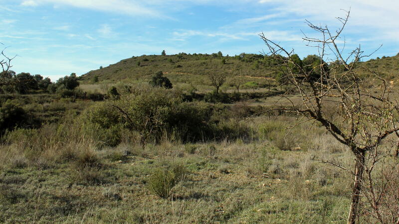 Terrain à vendre