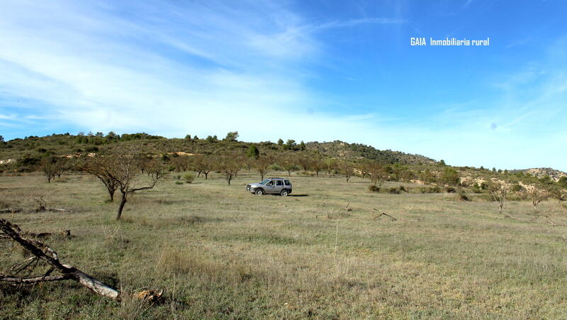 Terrain à vendre