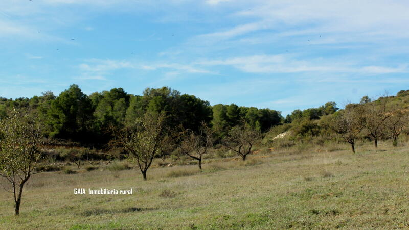 Terrain à vendre