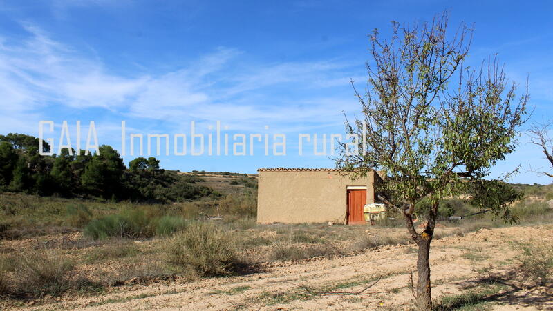 Landhaus zu verkaufen in Maella, Zaragoza