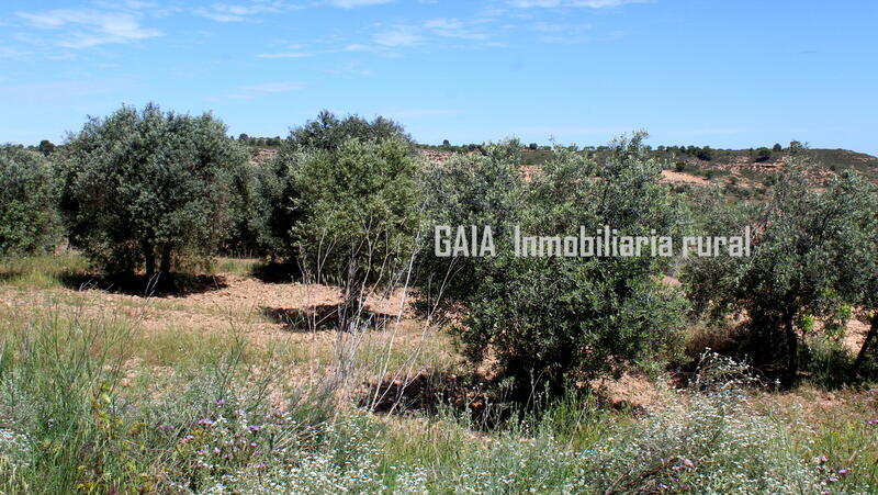 Casa de Campo en venta