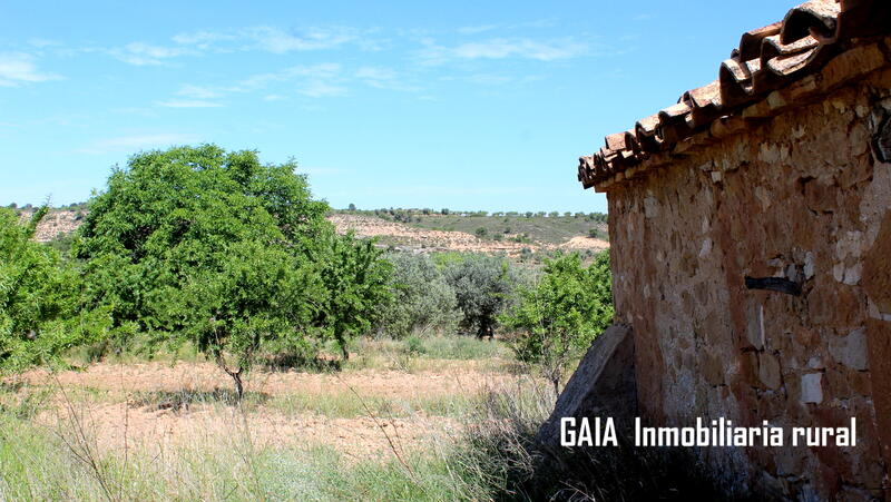 Casa de Campo en venta