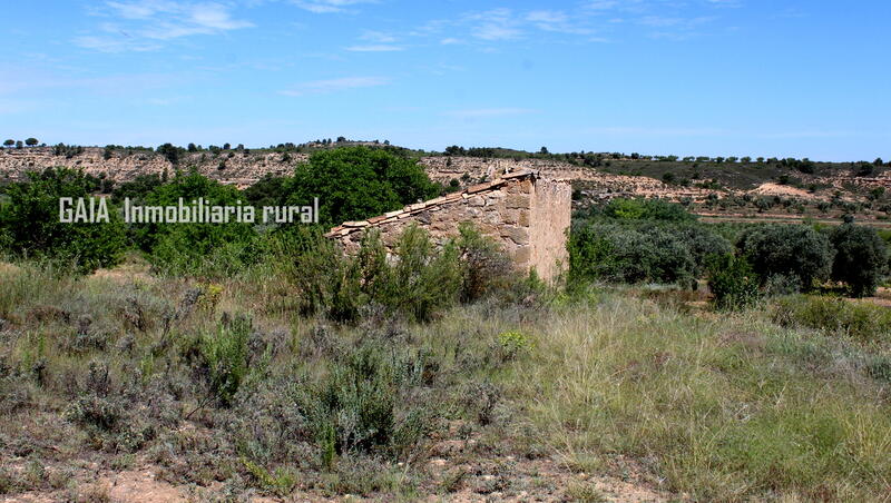 Casa de Campo en venta