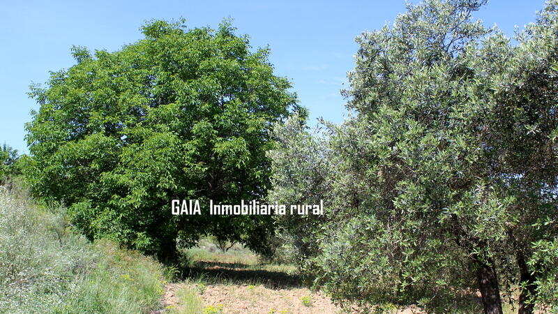 Auberge à vendre