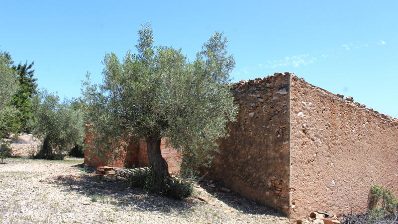 Villa à vendre