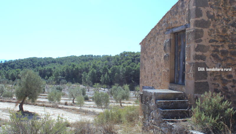 Auberge à vendre