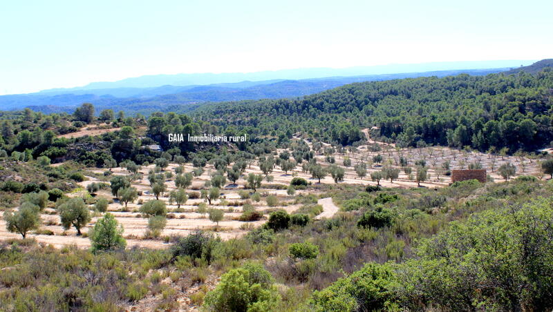 Auberge à vendre