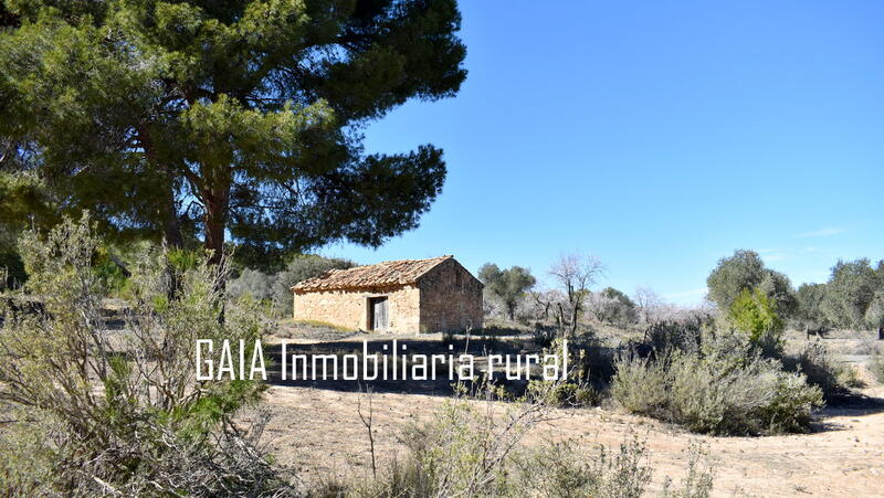 Lantställe till salu i Mazaleon, Teruel