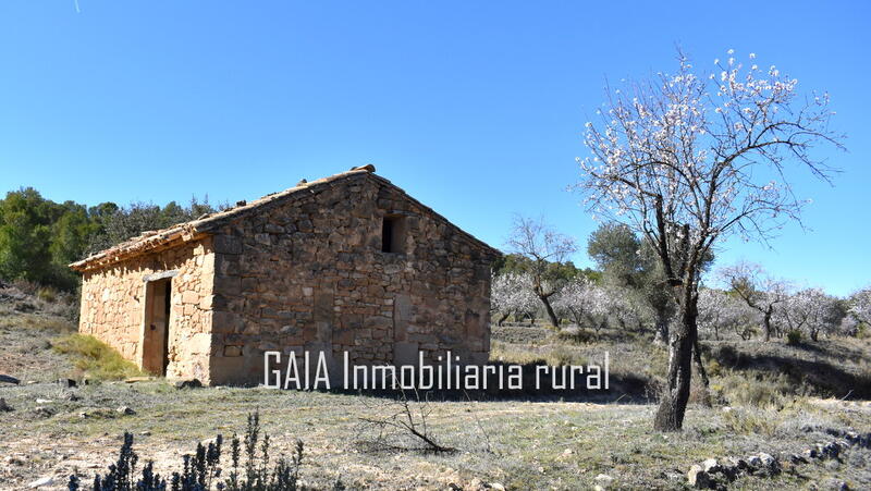 Auberge à vendre