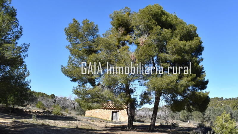 Country House for sale