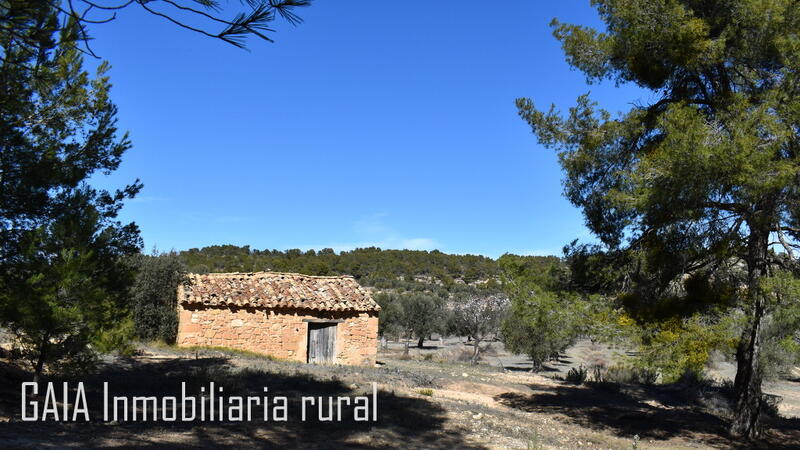 Casa de Campo en venta